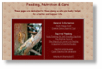 Photo of Squirrels:feeding and nutrition and care<